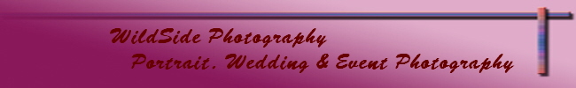 Weddings with Wildside