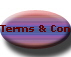Terms & Conditions